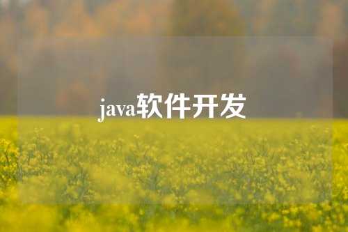 java软件开发