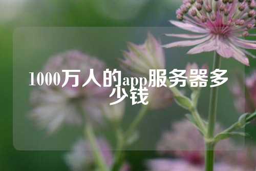 1000万人的app服务器多少钱