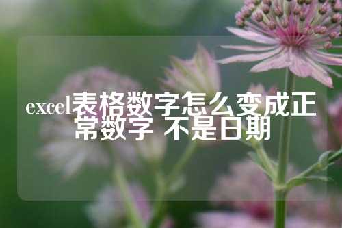 excel表格数字怎么变成正常数字 不是日期