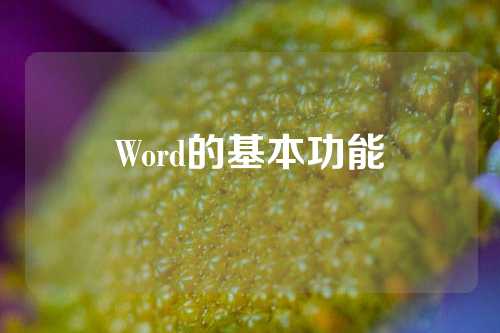 Word的基本功能