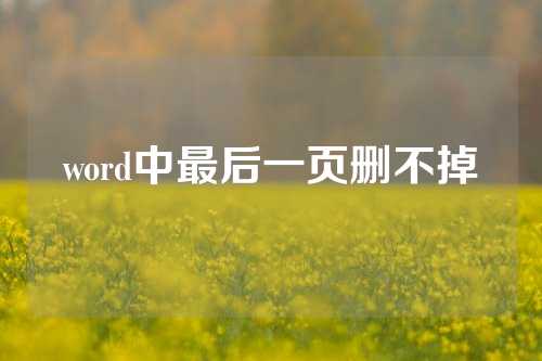 word中最后一页删不掉