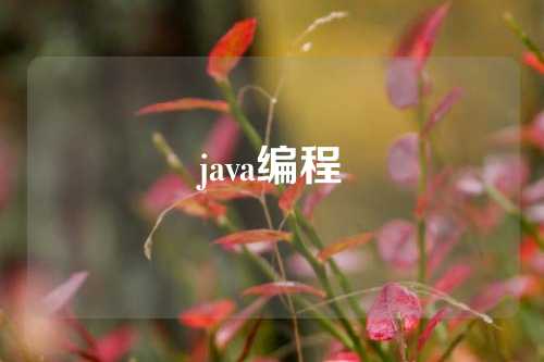 java编程