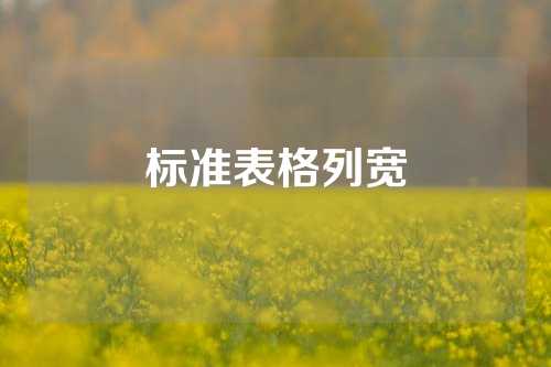 标准表格列宽