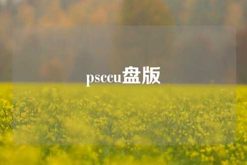 psccu盘版