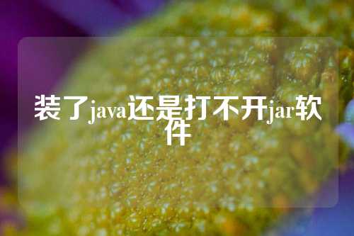 装了java还是打不开jar软件