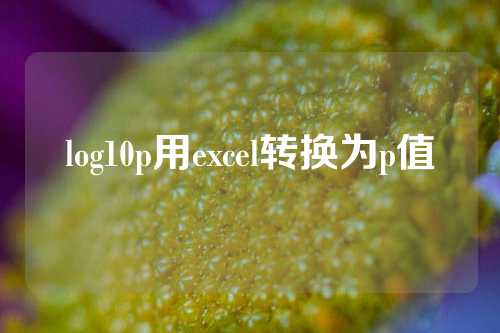 log10p用excel转换为p值