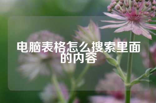 电脑表格怎么搜索里面的内容