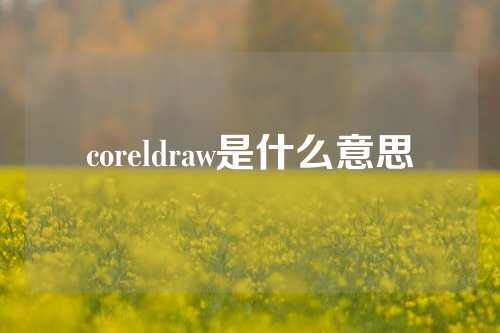 coreldraw是什么意思