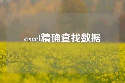 excel精确查找数据