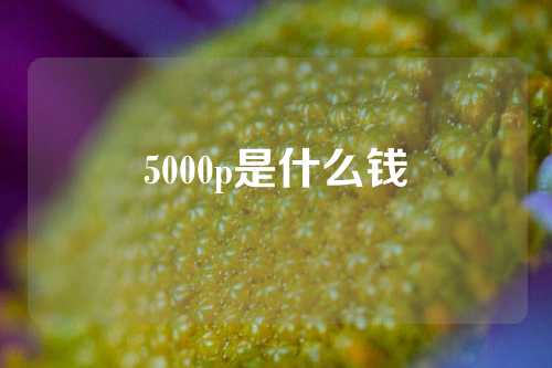 5000p是什么钱