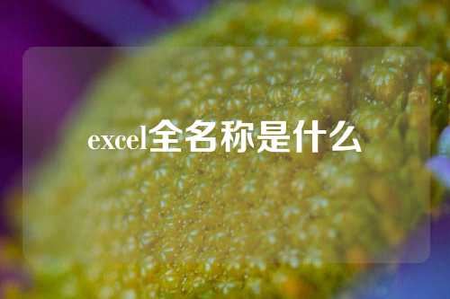 excel全名称是什么