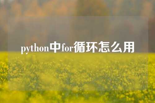 python中for循环怎么用