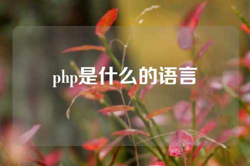 php是什么的语言