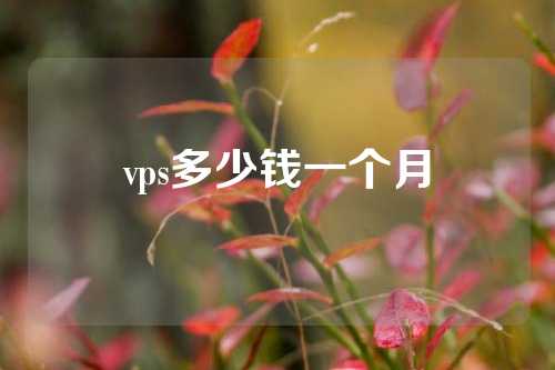 vps多少钱一个月