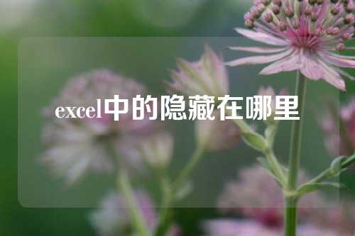 excel中的隐藏在哪里