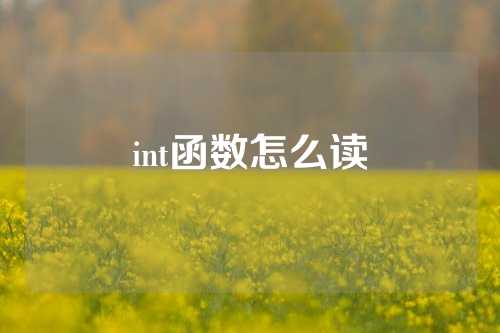 int函数怎么读