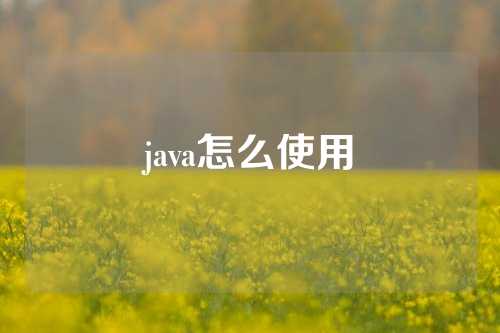 java怎么使用