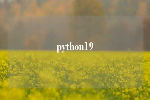 python19