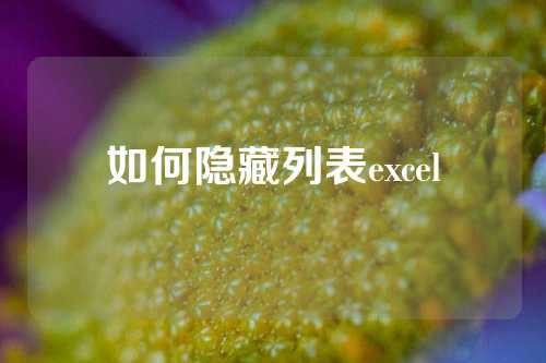 如何隐藏列表excel