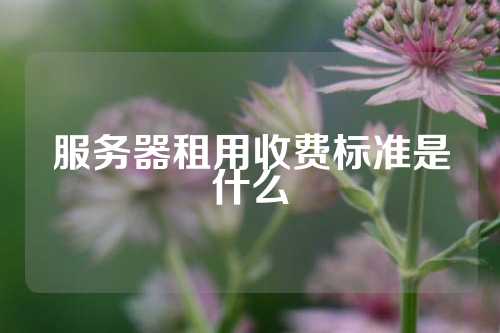 服务器租用收费标准是什么