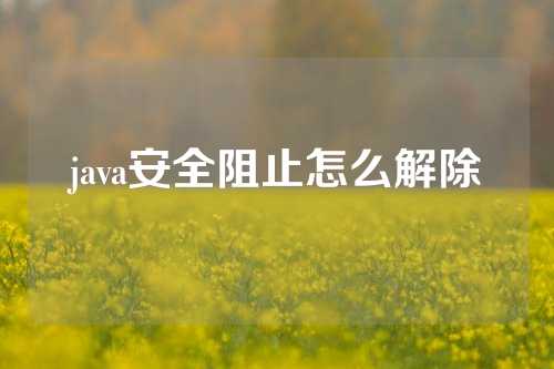 java安全阻止怎么解除