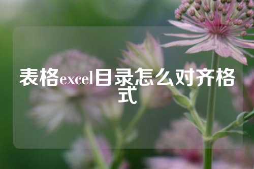 表格excel目录怎么对齐格式