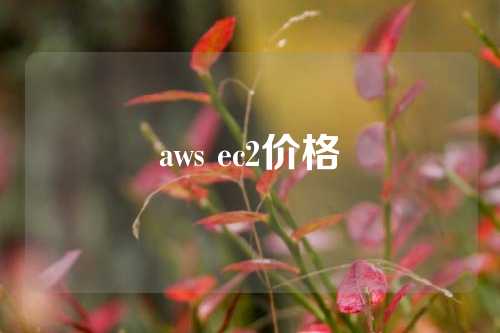 aws ec2价格