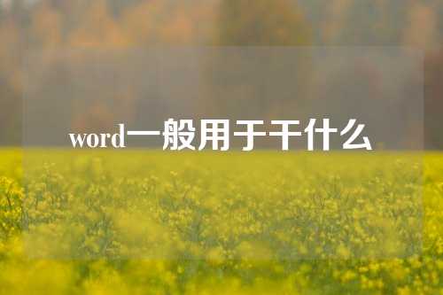 word一般用于干什么