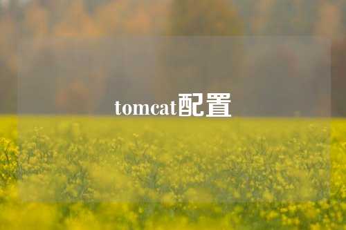 tomcat配置