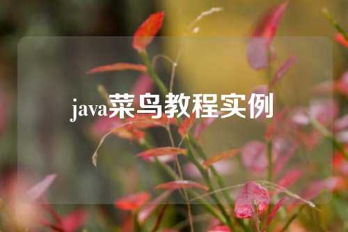 java菜鸟教程实例