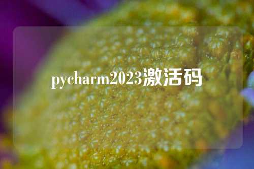 pycharm2023激活码