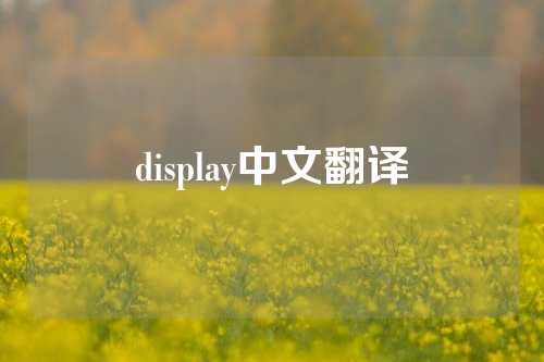 display中文翻译