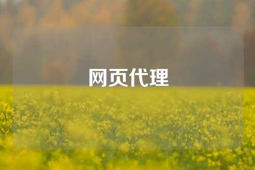 网页代理