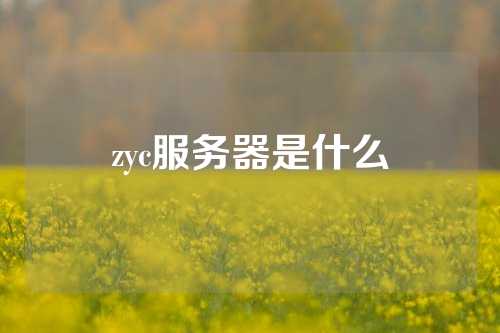 zyc服务器是什么