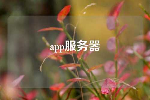 app服务器