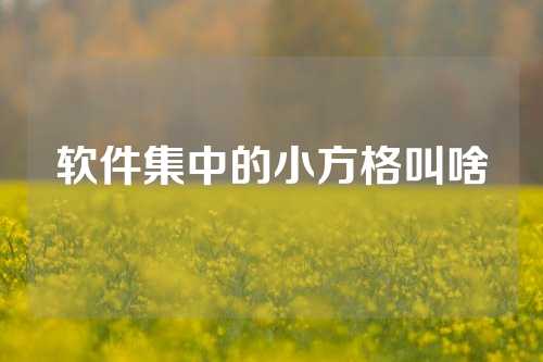 软件集中的小方格叫啥