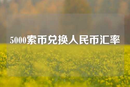 5000索币兑换人民币汇率