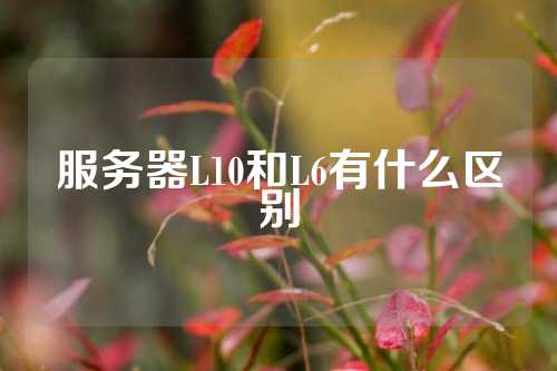 服务器L10和L6有什么区别