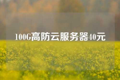 100G高防云服务器40元