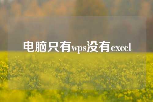 电脑只有wps没有excel