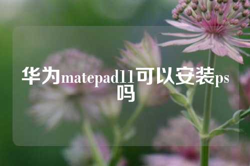 华为matepad11可以安装ps吗