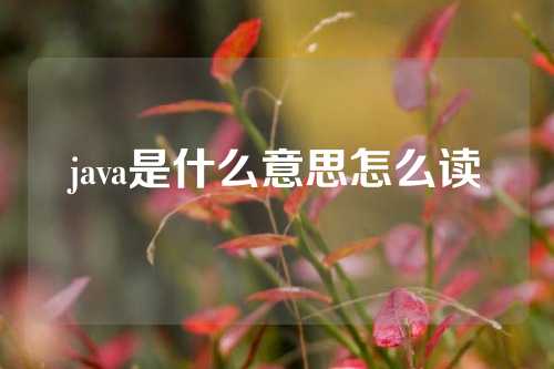 java是什么意思怎么读