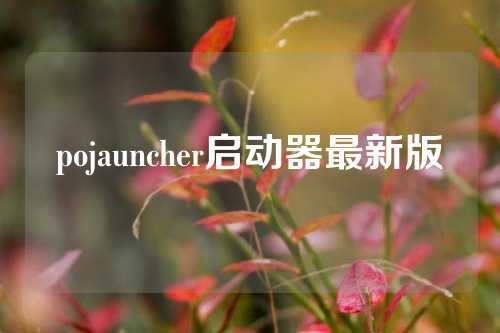 pojauncher启动器最新版