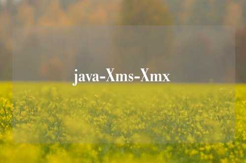 java-Xms-Xmx