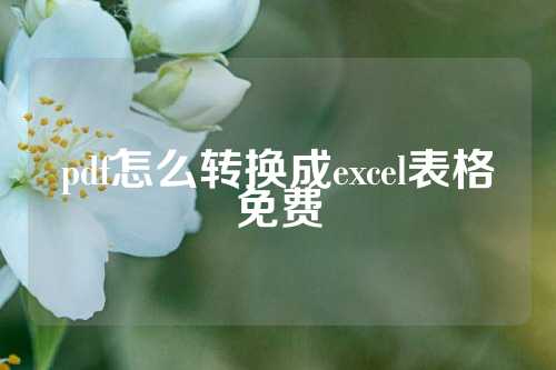 pdf怎么转换成excel表格免费