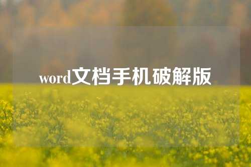 word文档手机破解版