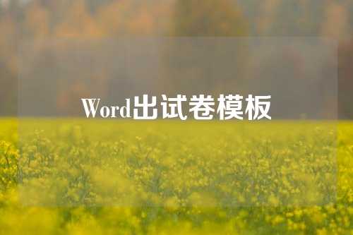 Word出试卷模板