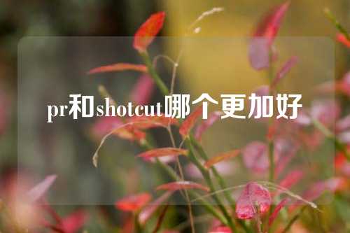 pr和shotcut哪个更加好