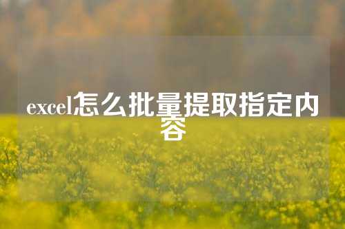 excel怎么批量提取指定内容