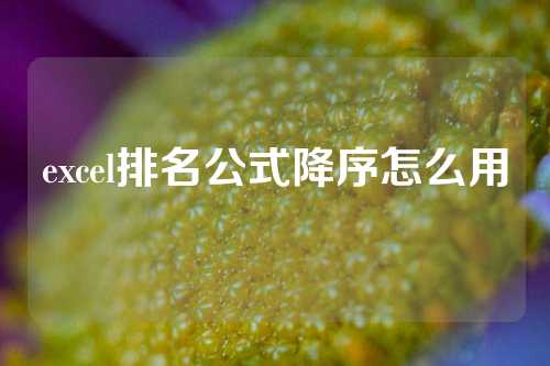 excel排名公式降序怎么用